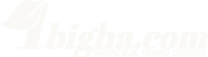 1Bigha Logo